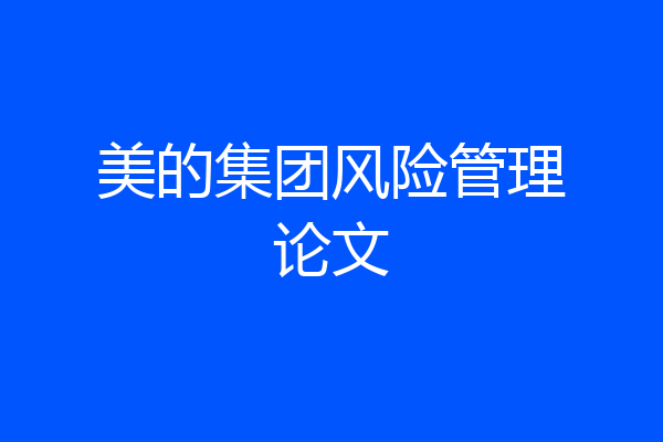 美的集团风险管理论文