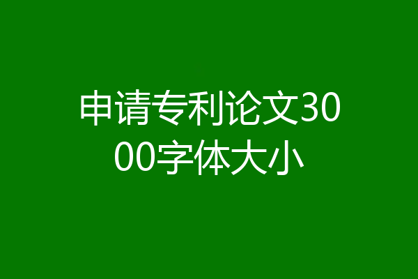 申请专利论文3000字体大小