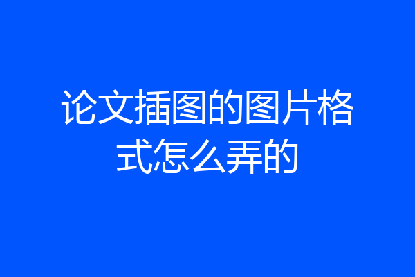 论文插图的图片格式怎么弄的