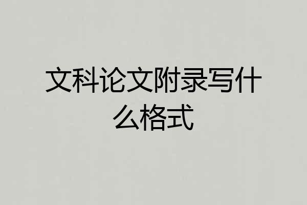 文科论文附录写什么格式