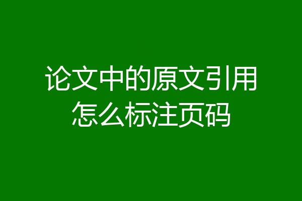 论文中的原文引用怎么标注页码