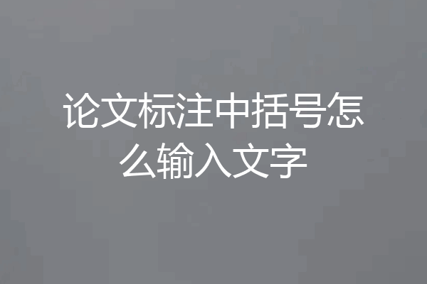 论文标注中括号怎么输入文字