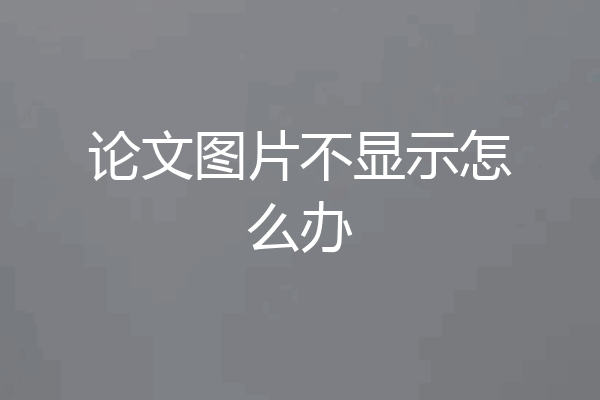 论文图片不显示怎么办