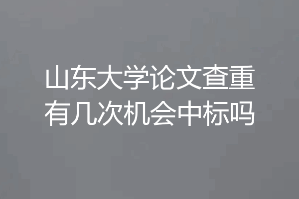 山东大学论文查重有几次机会中标吗