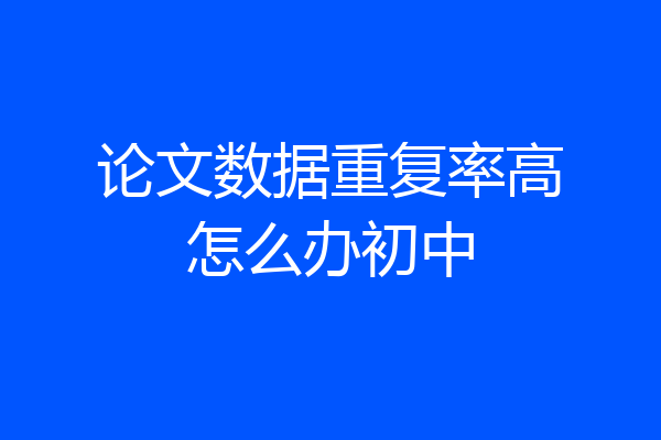 论文数据重复率高怎么办初中
