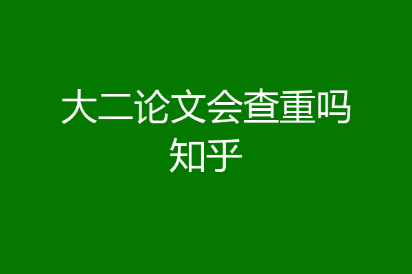 大二论文会查重吗知乎