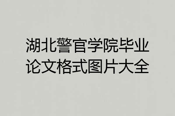 湖北警官学院毕业论文格式图片大全