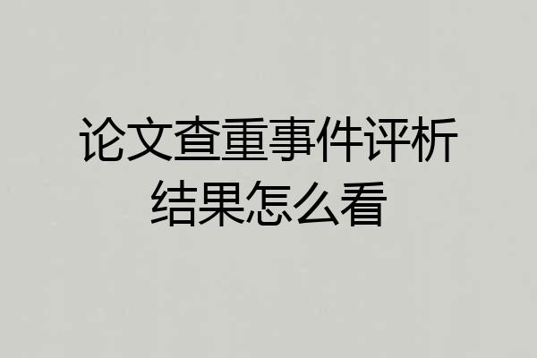 论文查重事件评析结果怎么看