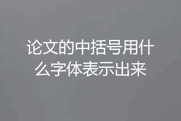 论文的中括号用什么字体表示出来