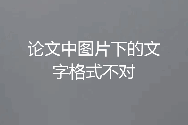 论文中图片下的文字格式不对