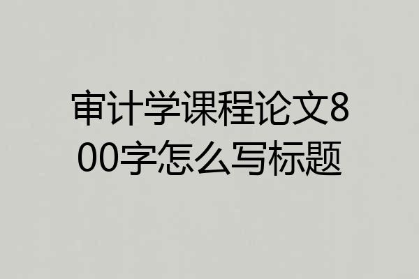 审计学课程论文800字怎么写标题