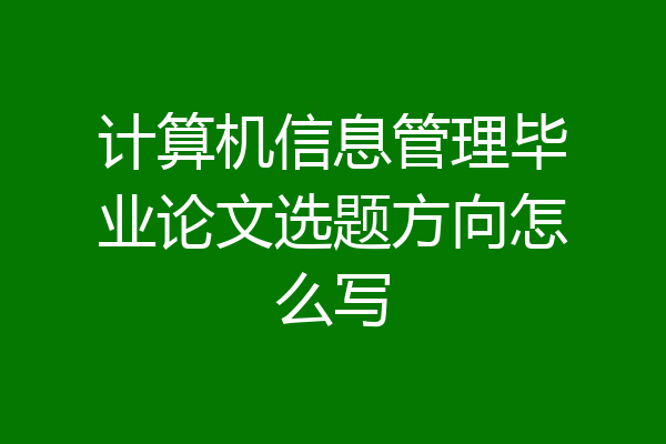 计算机信息管理毕业论文选题方向怎么写
