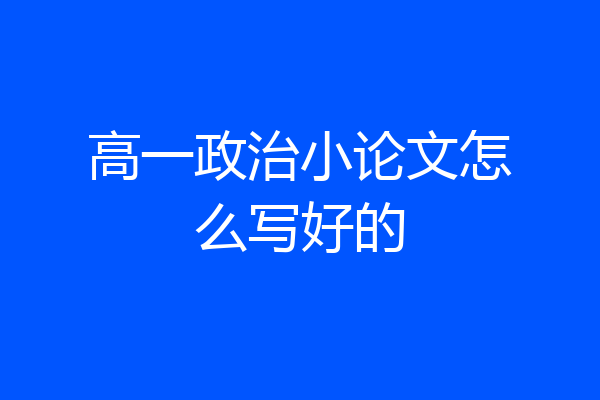 高一政治小论文怎么写好的