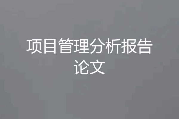 项目管理分析报告论文