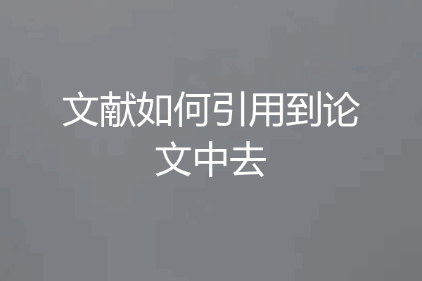 文献如何引用到论文中去