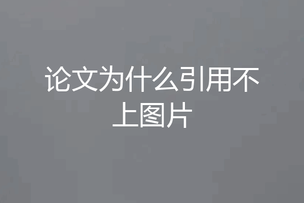 论文为什么引用不上图片
