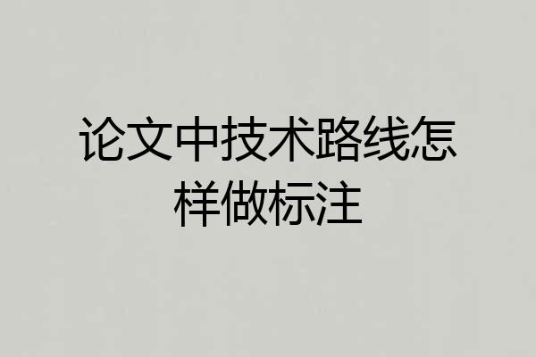 论文中技术路线怎样做标注