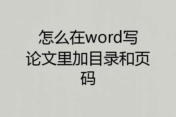 怎么在word写论文里加目录和页码