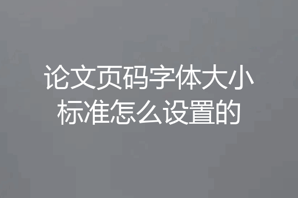 论文页码字体大小标准怎么设置的