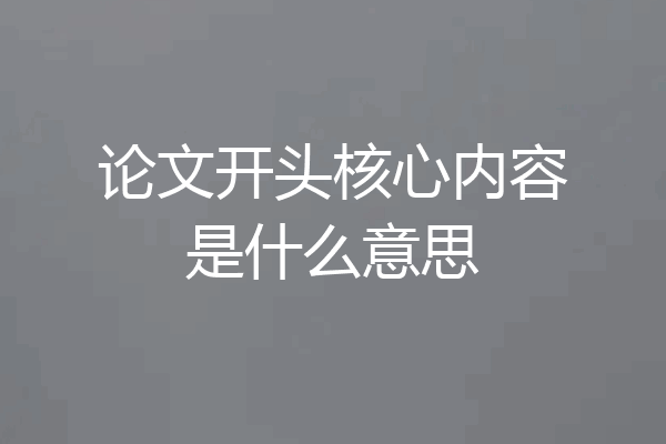论文开头核心内容是什么意思