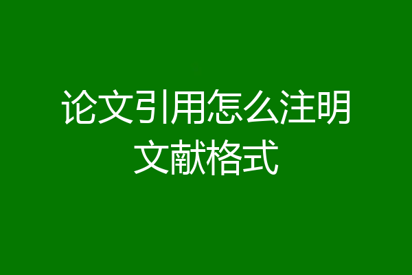 论文引用怎么注明文献格式