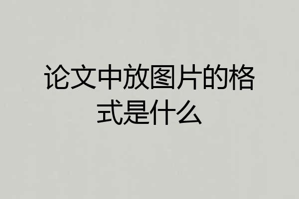 论文中放图片的格式是什么