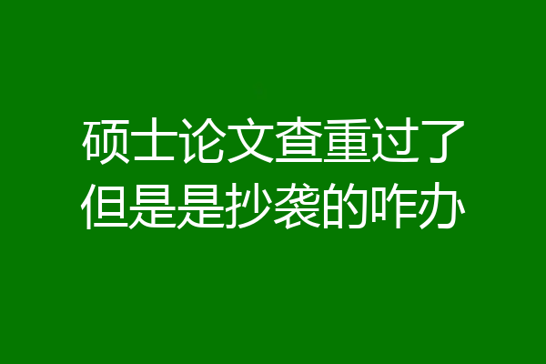 硕士论文查重过了但是是抄袭的咋办