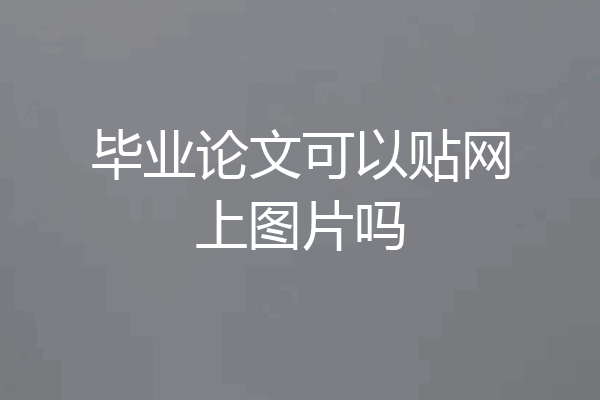 毕业论文可以贴网上图片吗