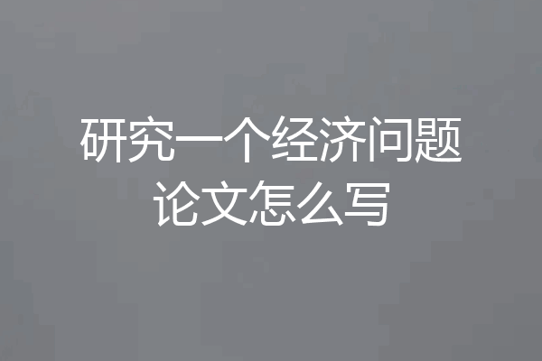 研究一个经济问题论文怎么写