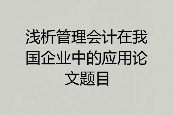 浅析管理会计在我国企业中的应用论文题目