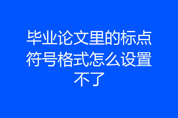 毕业论文里的标点符号格式怎么设置不了