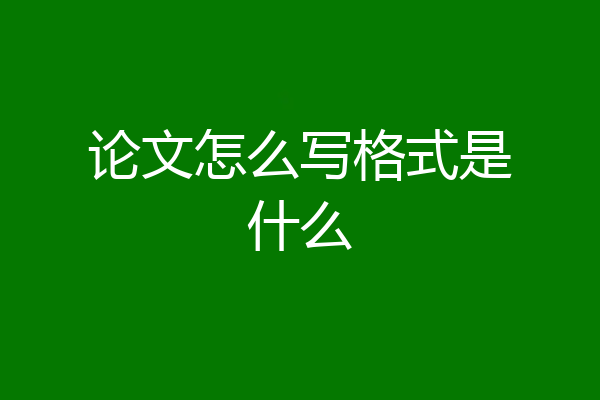 论文怎么写格式是什么
