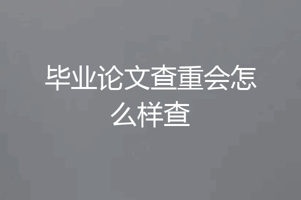 毕业论文查重会怎么样查