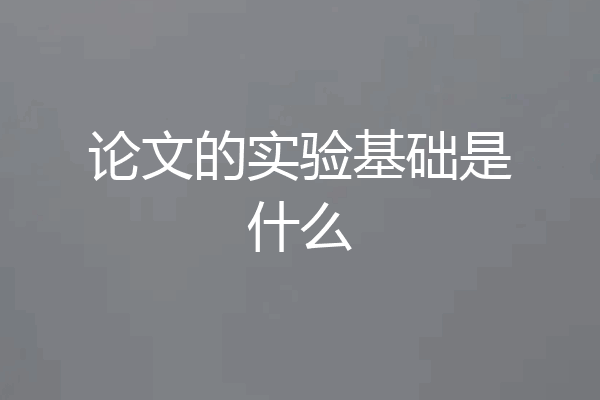 论文的实验基础是什么
