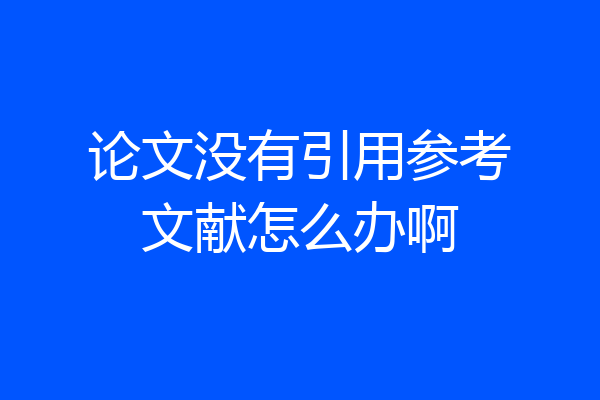 论文没有引用参考文献怎么办啊