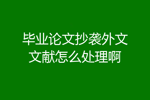 毕业论文抄袭外文文献怎么处理啊