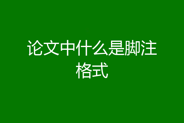 论文中什么是脚注格式