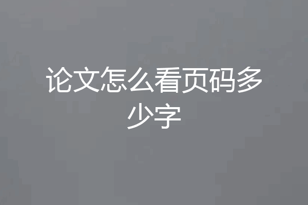 论文怎么看页码多少字