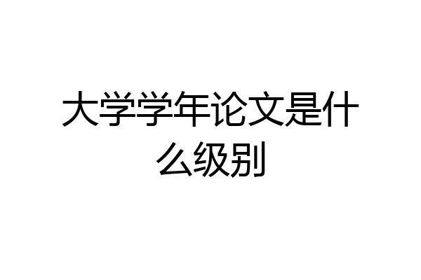 大学学年论文是什么级别