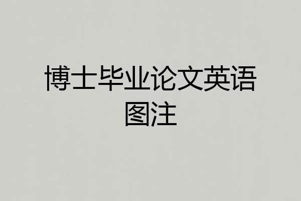 博士毕业论文英语图注