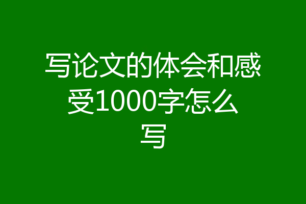 写论文的体会和感受1000字怎么写