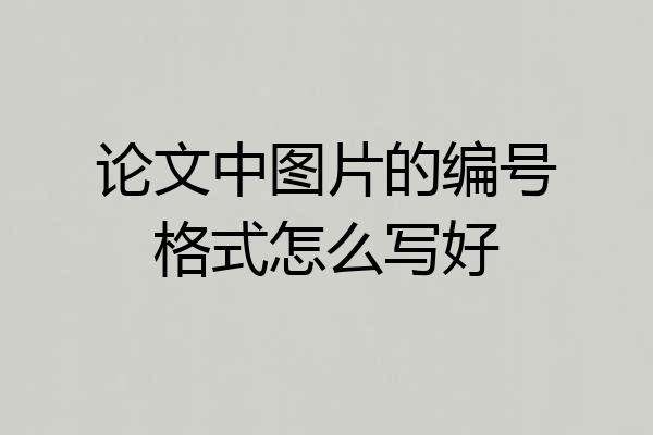 论文中图片的编号格式怎么写好