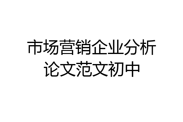 市场营销企业分析论文范文初中