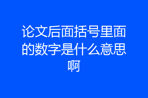 论文后面括号里面的数字是什么意思啊