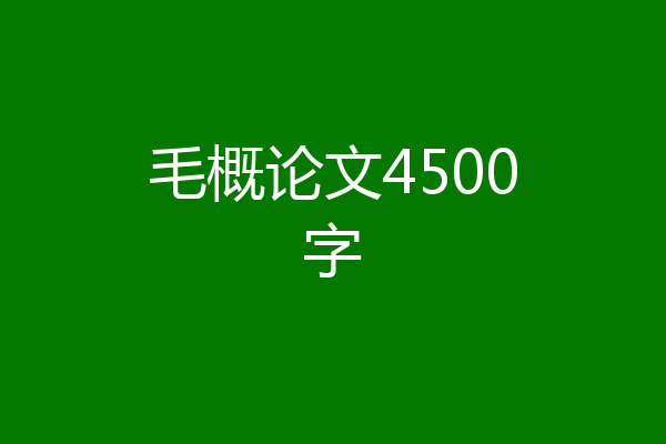 毛概论文4500字