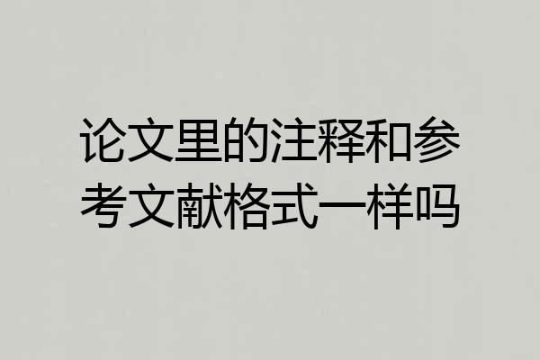 论文里的注释和参考文献格式一样吗
