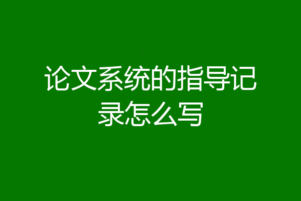 论文系统的指导记录怎么写