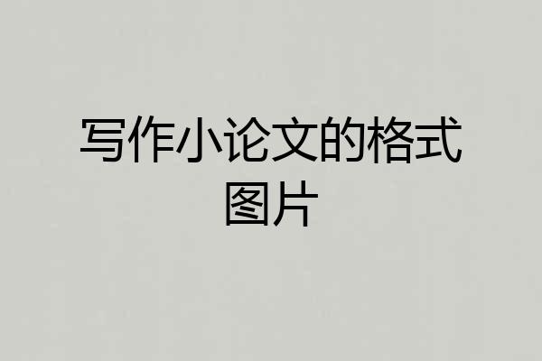 写作小论文的格式图片