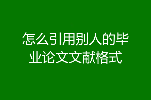 怎么引用别人的毕业论文文献格式