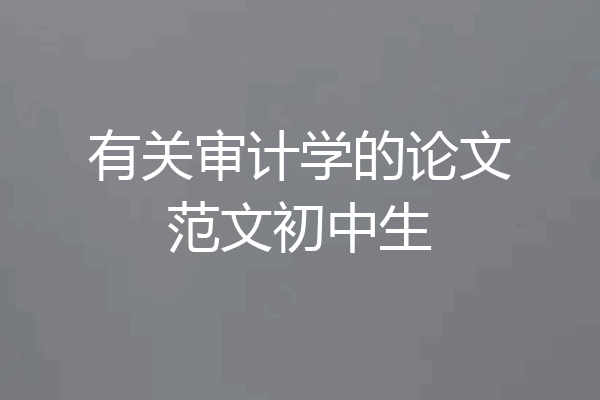 有关审计学的论文范文初中生